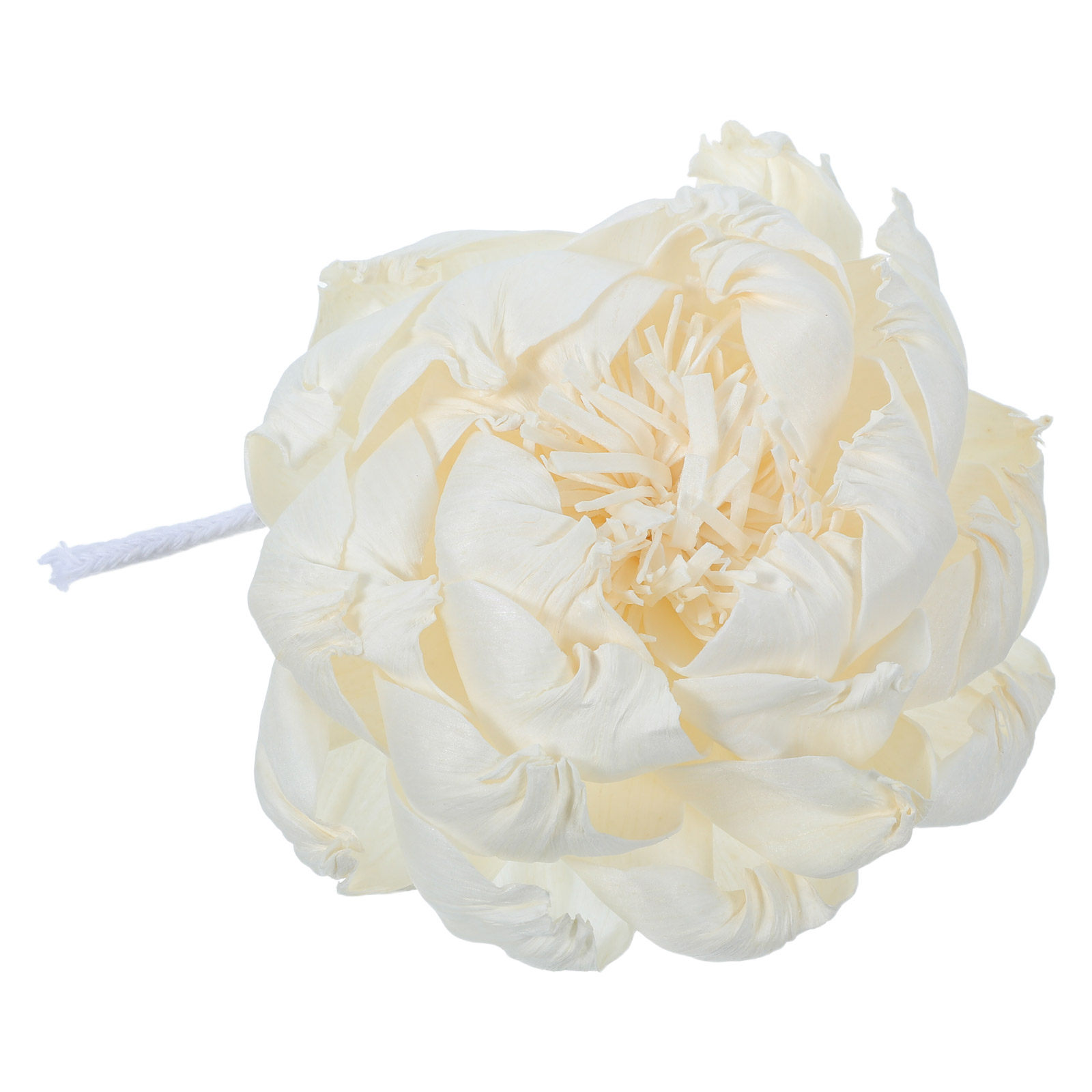 Pioenroos Geurverspreider 12Cm - Home Fragrance Us recensie en prijs