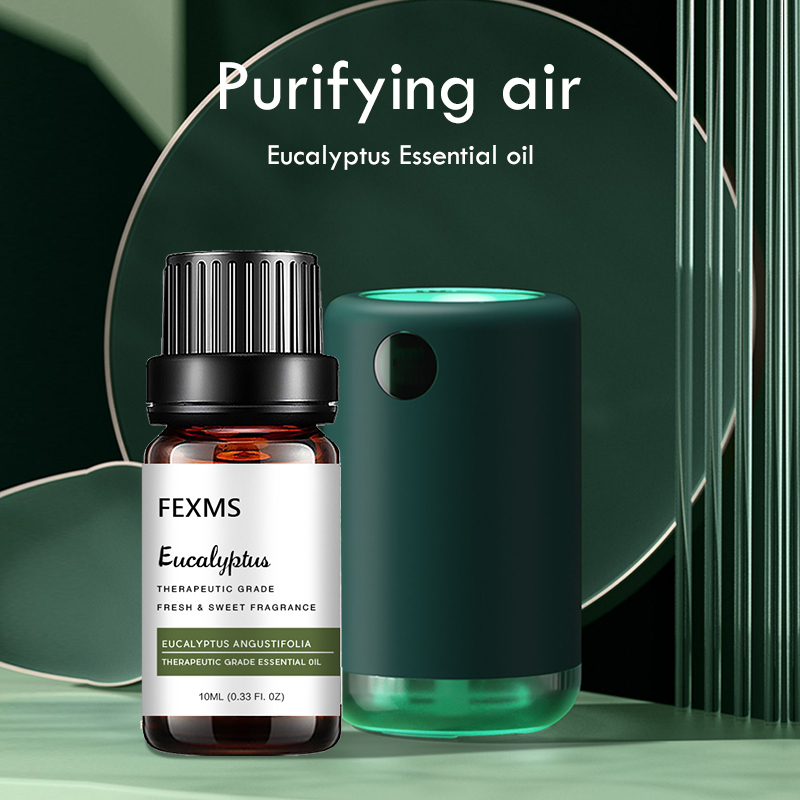 Eucalyptus Essentiële Olie (10 - Home Fragrance Eucalyptus recensie en prijs
