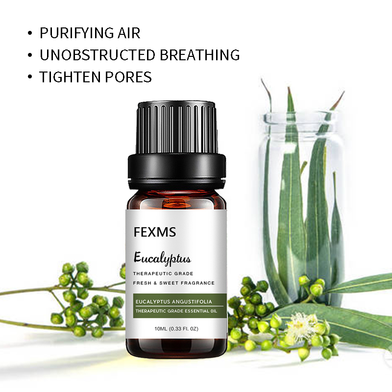 Eucalyptus Essentiële Olie (10 - Home Fragrance Eucalyptus recensie en prijs