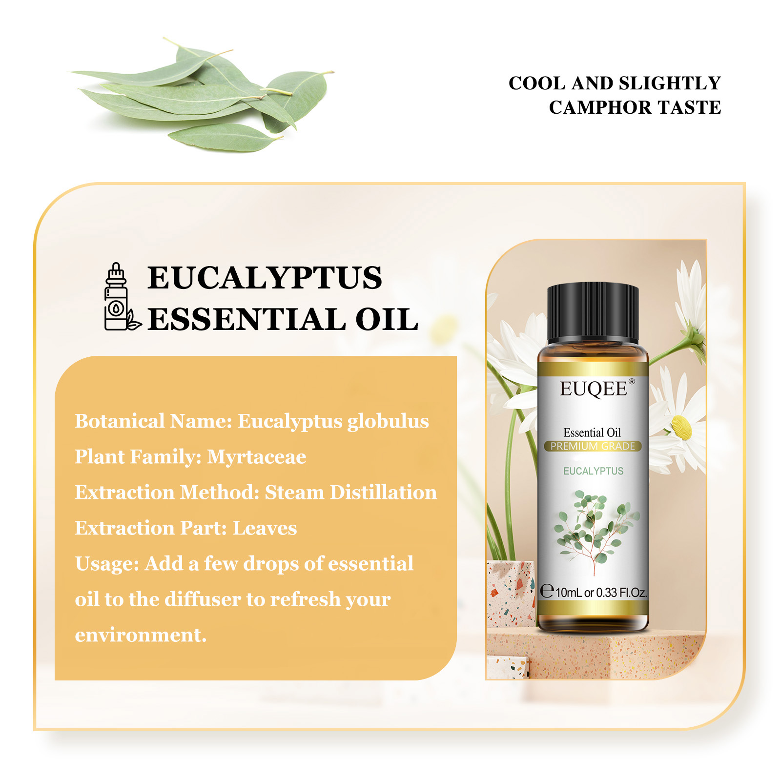 EUQEE 10ML Natuurlijke Essenti - Home Fragrance Eucalyptus recensie en prijs