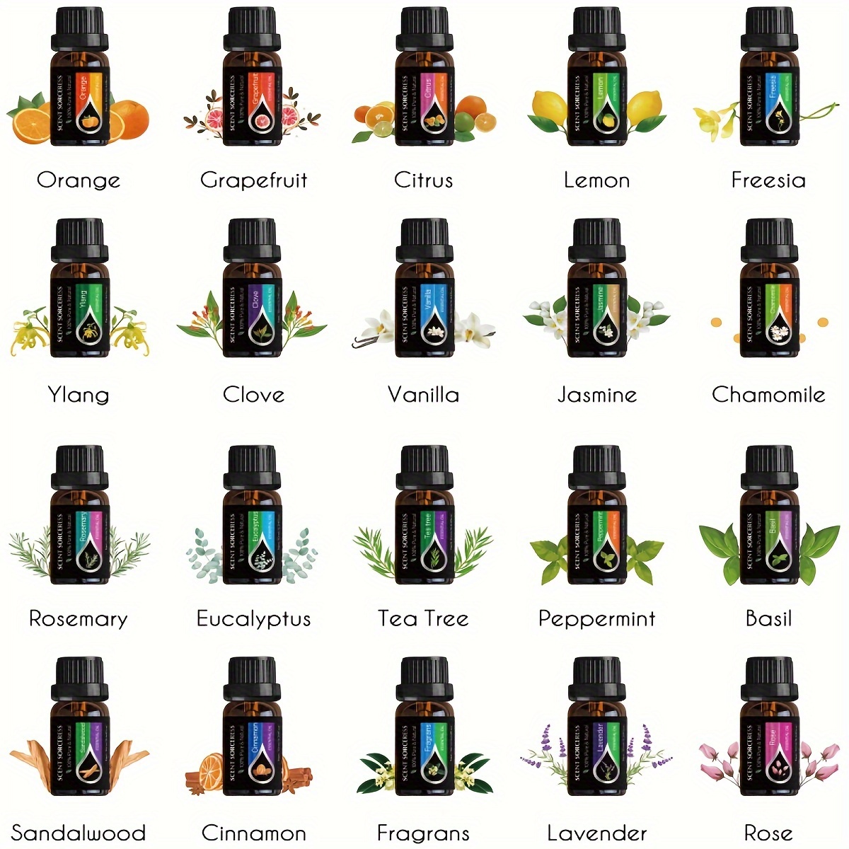 20 stks/set Klassieke Merk Ess - Home Fragrance Eucalyptus recensie en prijs