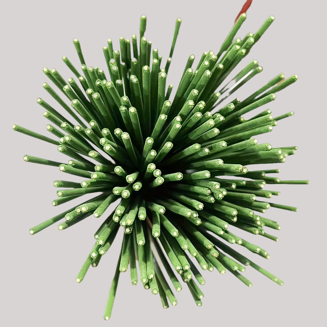 Riet Diffuser Sticks Citroengr - Reed Diffuser Set recensie en prijs