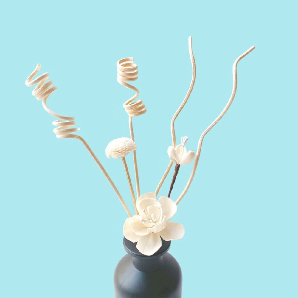 1 Set Bloem Aromatherapie Rota - Home Fragrance London recensie en prijs
